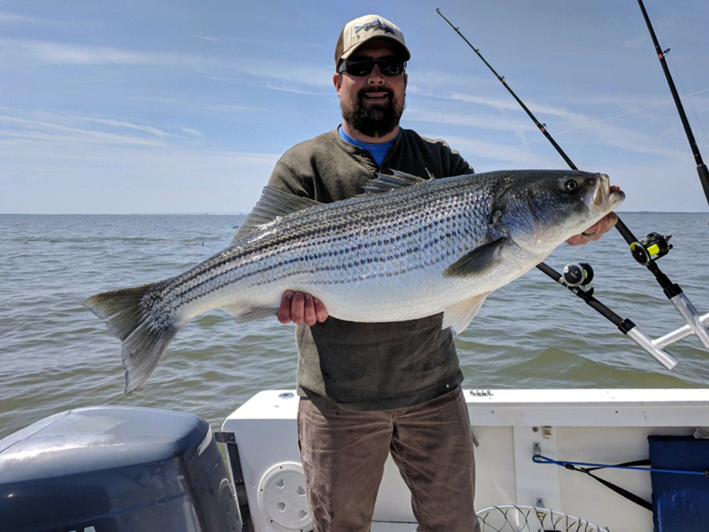 trophy rockfish