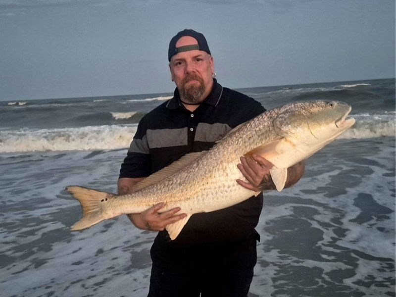 Red drum surf fishing