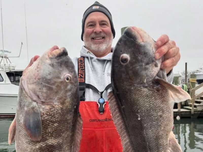 Virginia tautog fishing