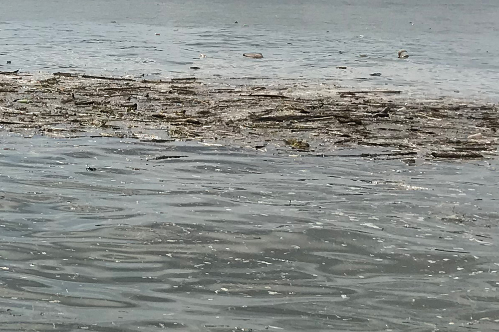 debris floating in chesapeake bay