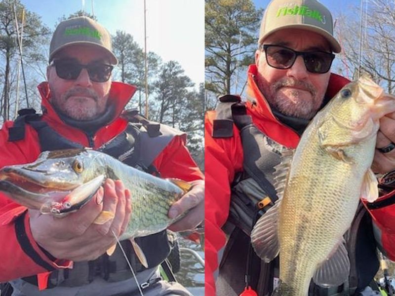 Largemouth bass fishing