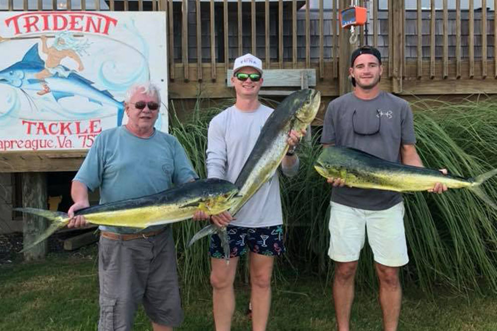 mahi mahi