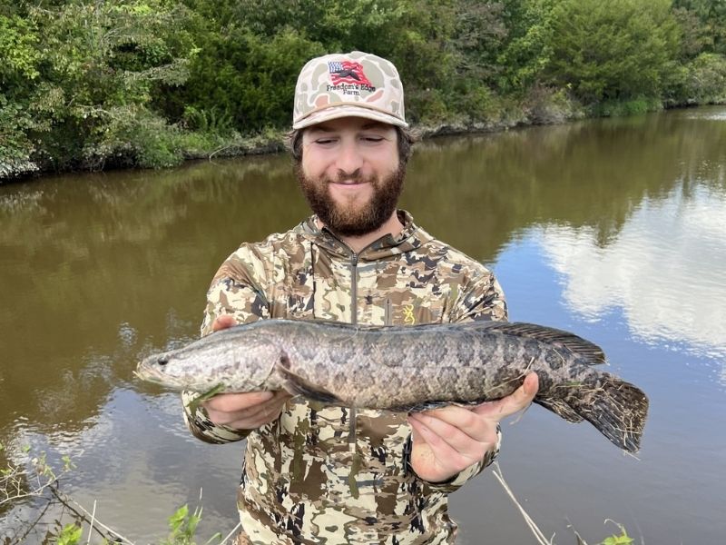 snakehead fishing maryland