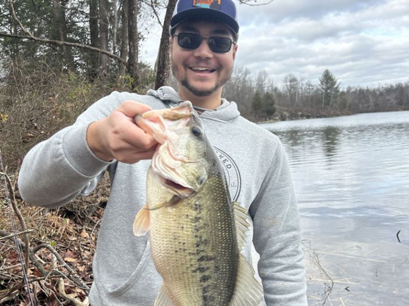 largemouth bass fishing pond fishing