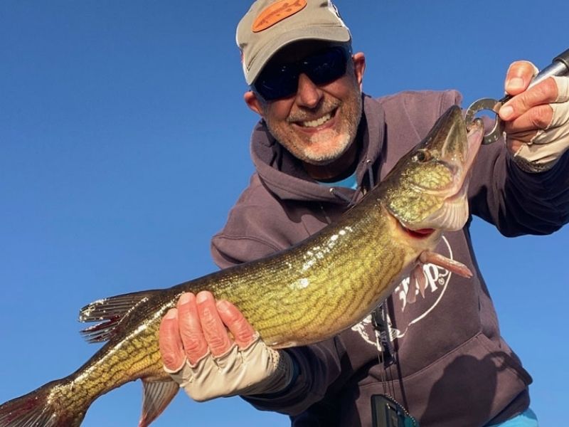 Pickerel fishing Maryland 