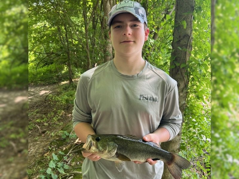 Largemouth bass summer fishing