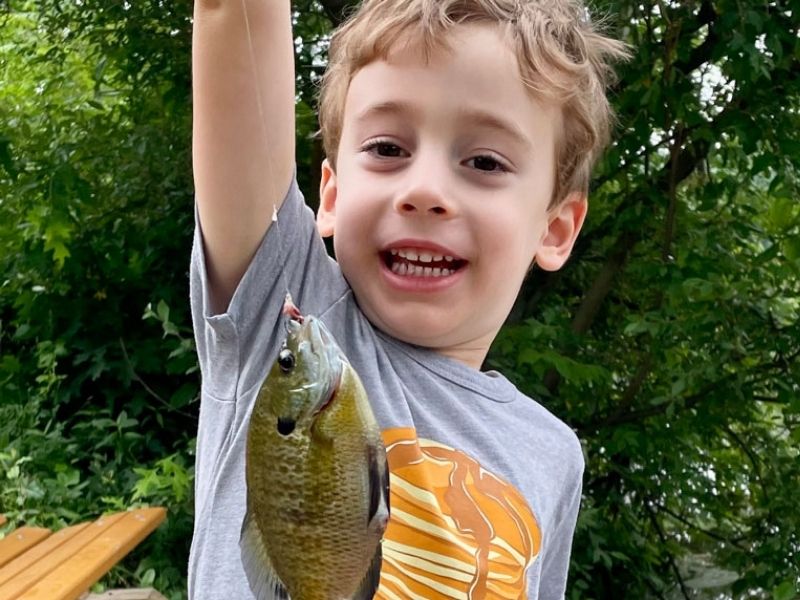 Bluegill fishing freshwater fishing