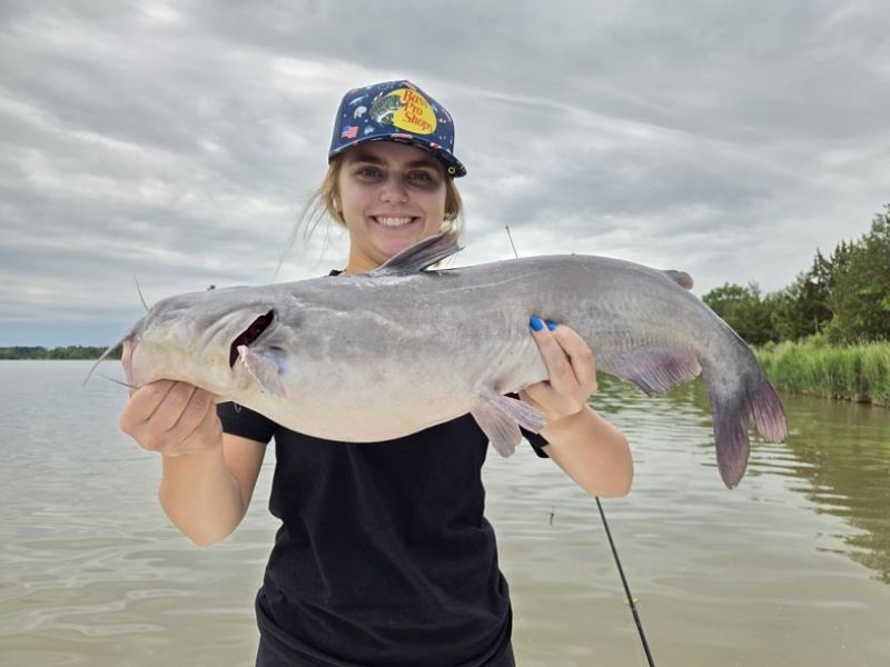 blue catfish chesapeake bay invasive species