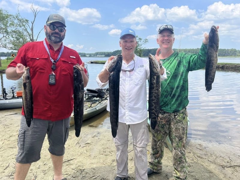 snakehead fishing maryland