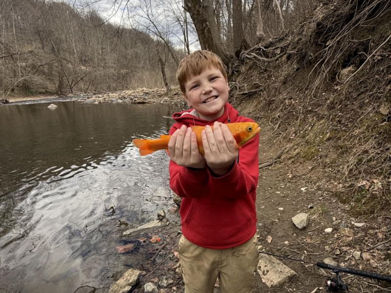 trout fishing maryland