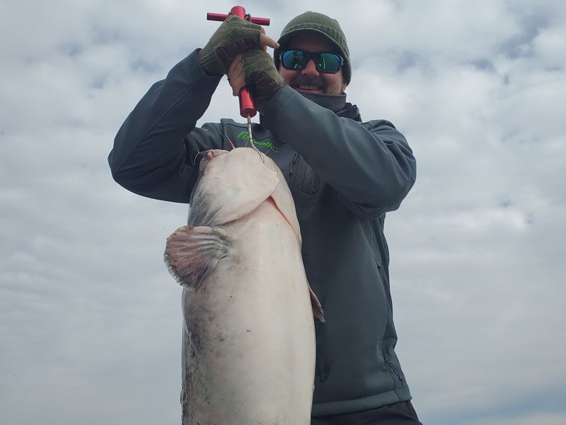 blue catfish potomac river
