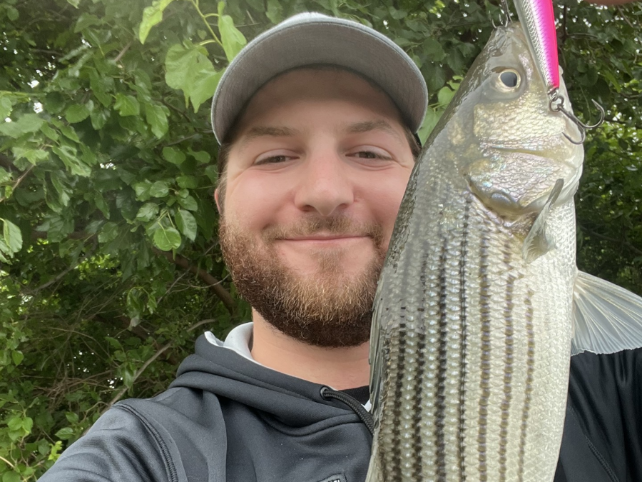 striped bass fishing chesapeake bay