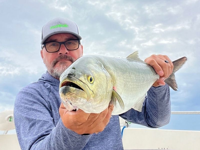 Bluefish fishing Chesapeake Bay