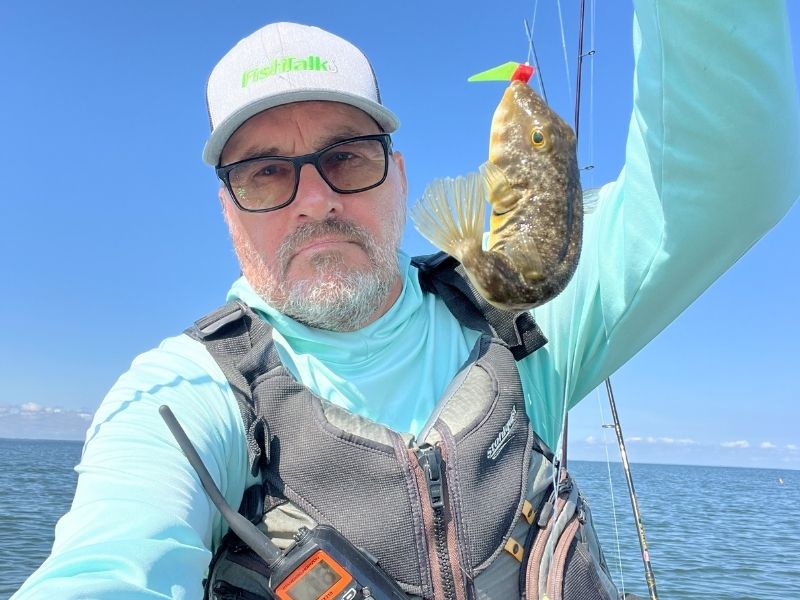 Northern pufferfish fishing