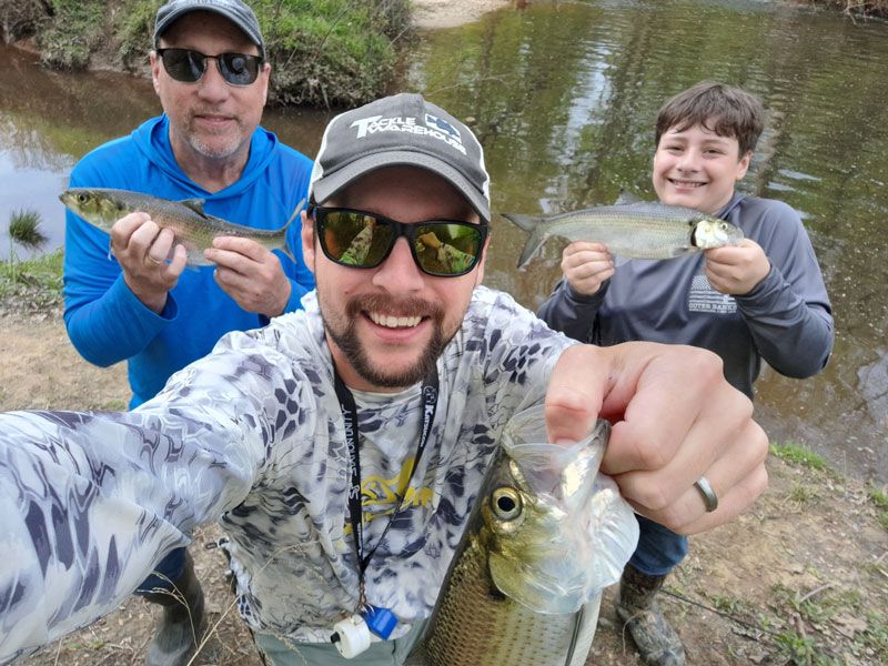 shad fishing spring