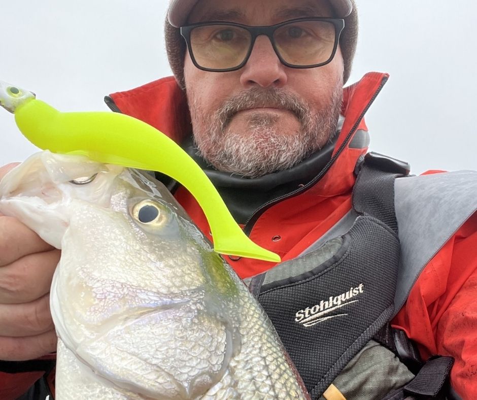 Striped bass fishing Chesapeake Bay