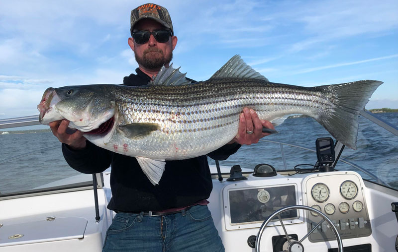 trophy rockfish