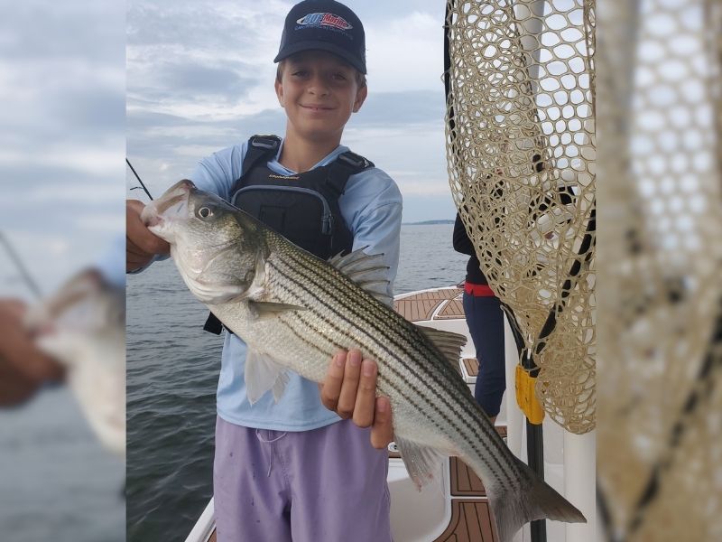 striped bass fishing chesapeake bay