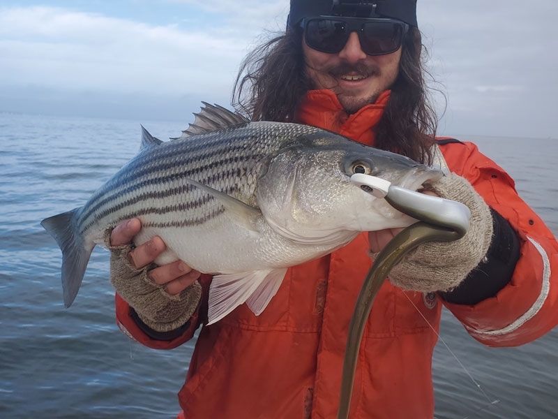 striped bass fishing chesapeake bay