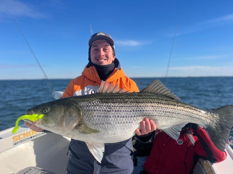 Trophy striped bass fishing Chesapeake Bay