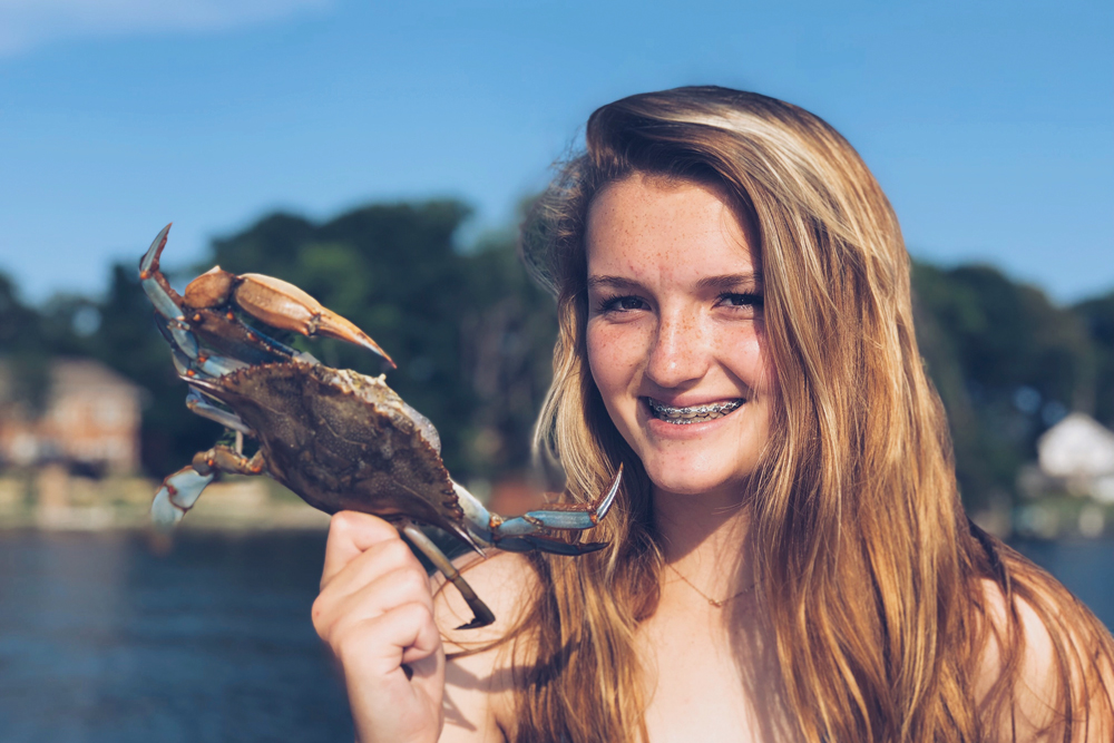 maryland blue crab