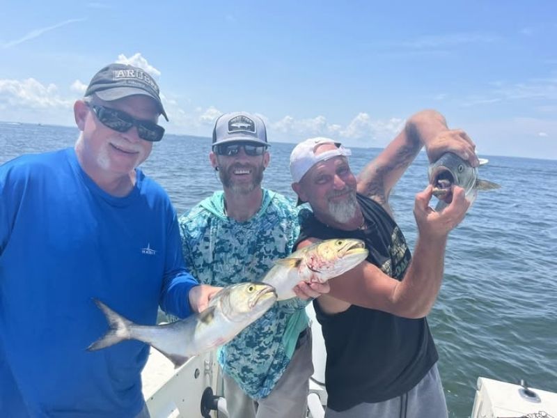 Bluefish fishing Chesapeake Bay