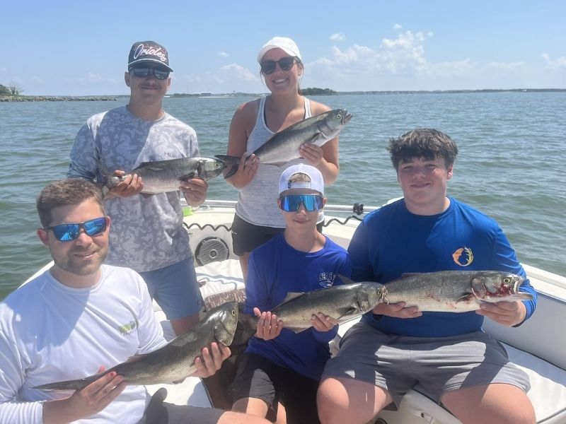 Bluefish fishing Chesapeake Bay