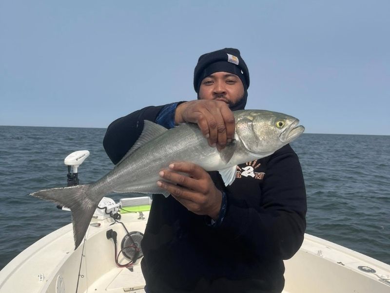 Bluefish fishing Chesapeake Bay