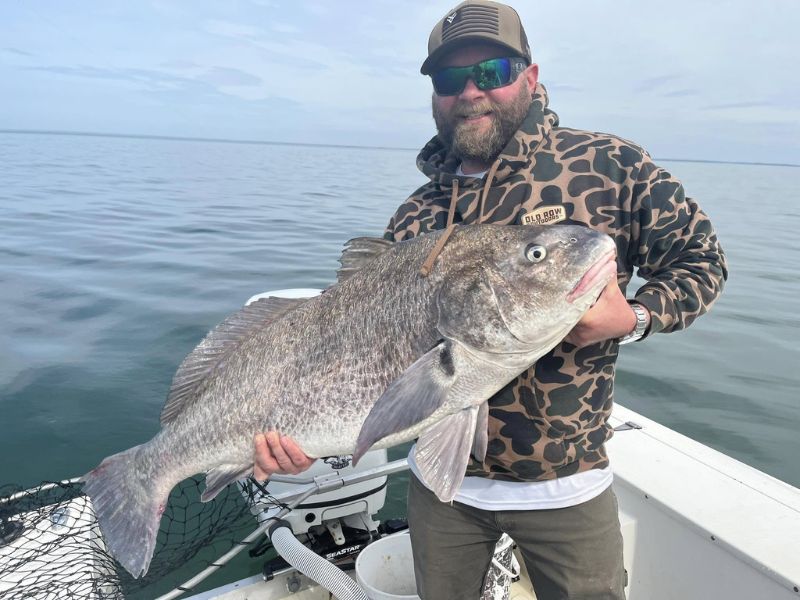Black drum fishing Chesapeake Bay