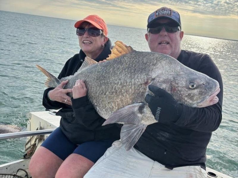 Black drum fishing Chesapeake Bay