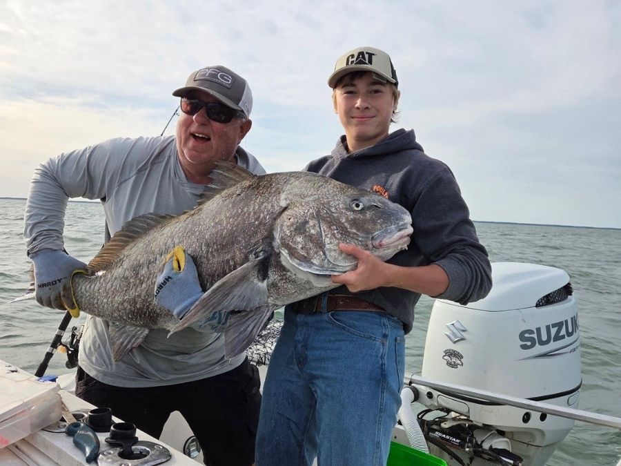 Black drum fishing Chesapeake Bay