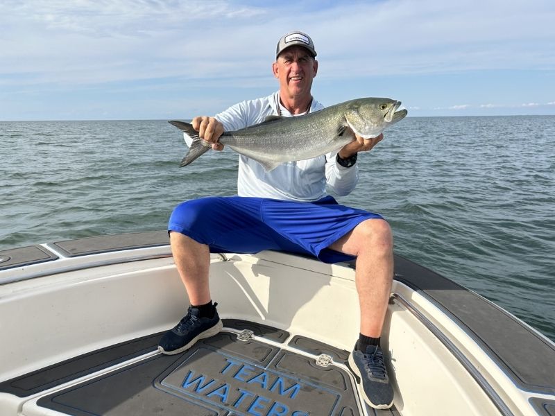 Bluefish fishing Chesapeake Bay