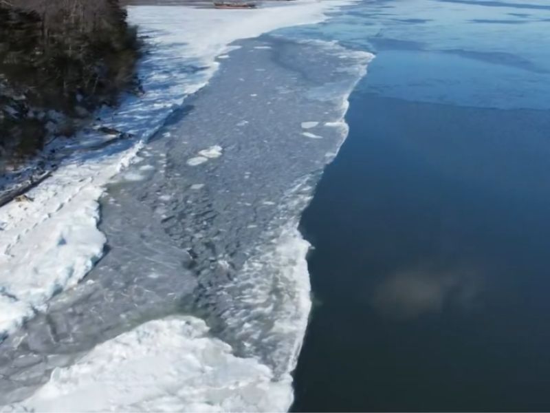 Chesapeake Bay Fishing
