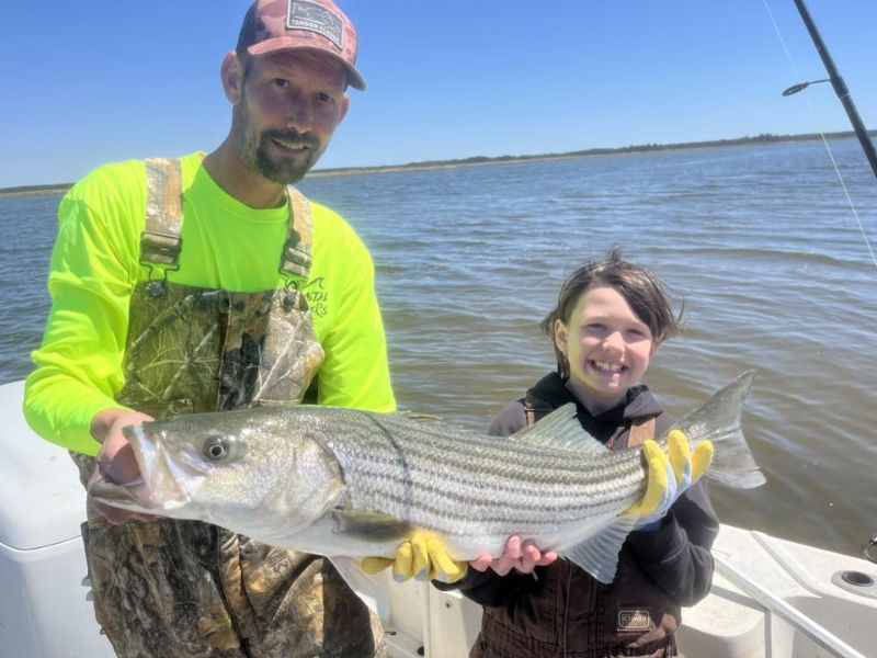 striped bass fishing chesapeake bay