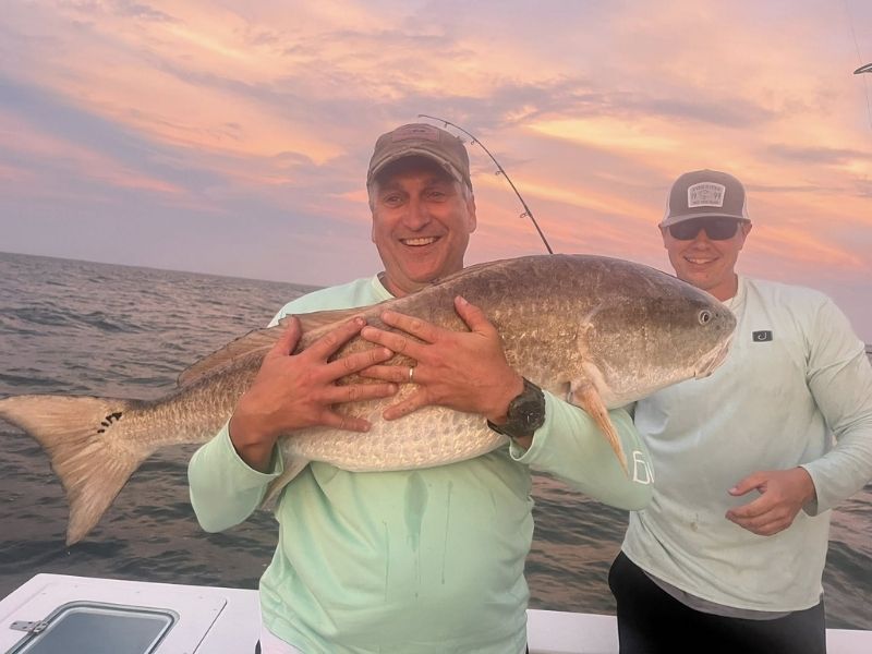 Bull red drum Chesapeake Bay