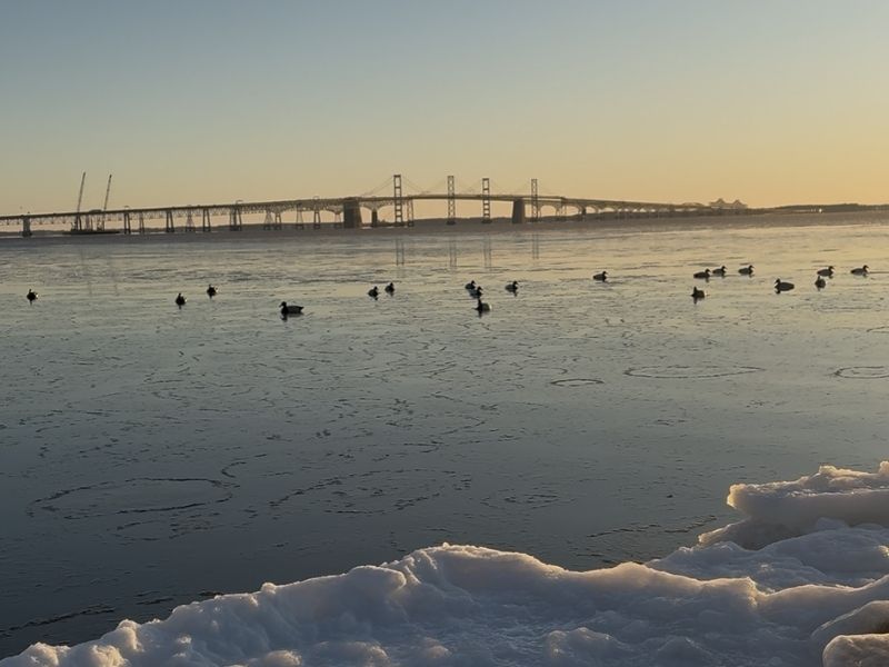 Chesapeake Bay Fishing