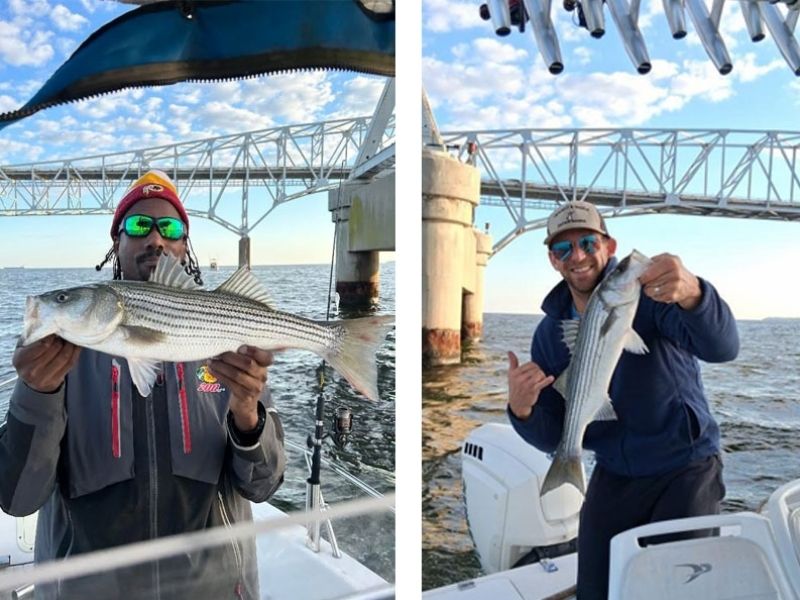 striped bass fishing chesapeake bay bridge