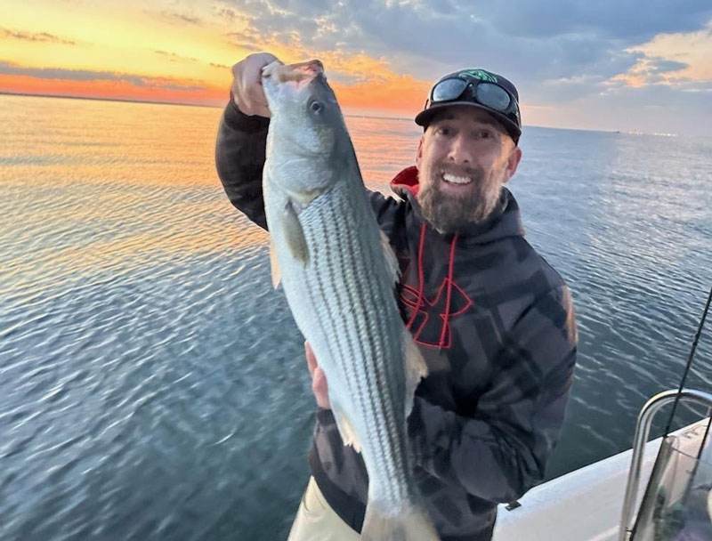 sunrise striper in the upper bay