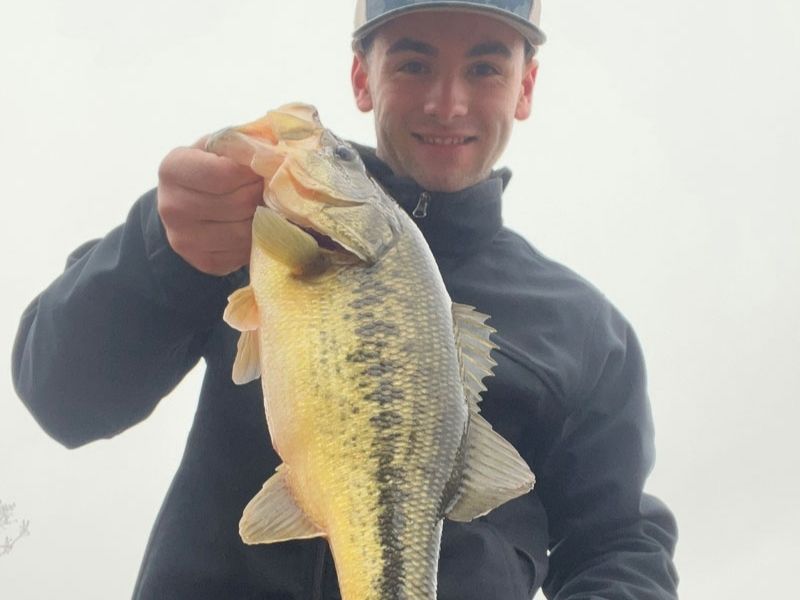 Largemouth bass winter fishing