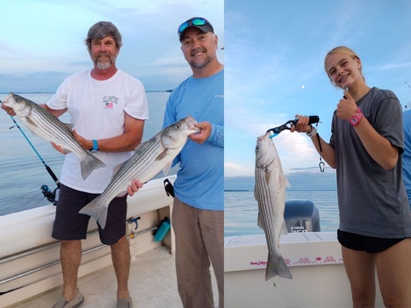 striped bass fishing chesapeake bay