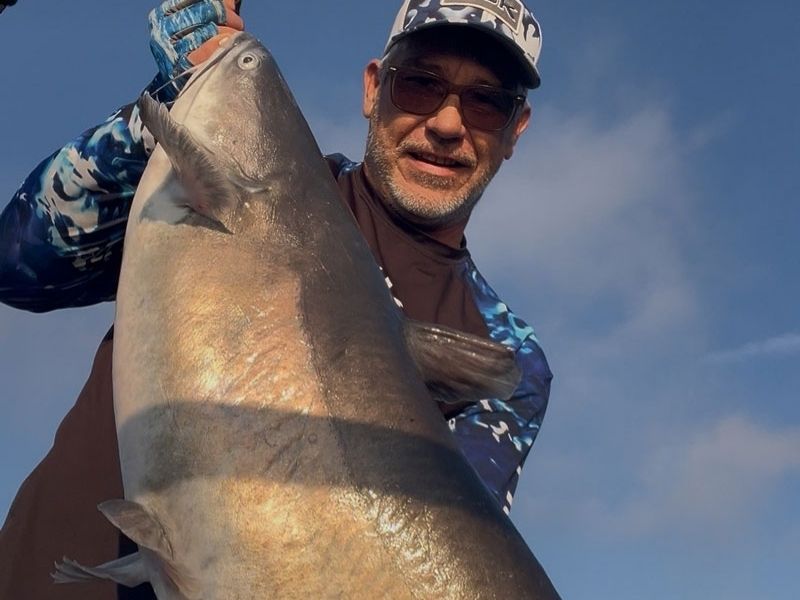 Blue catfish Susquehanna River