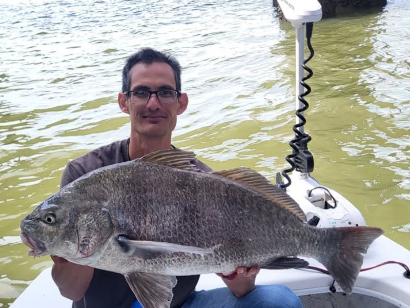 Black drum fishing Chesapeake Bay