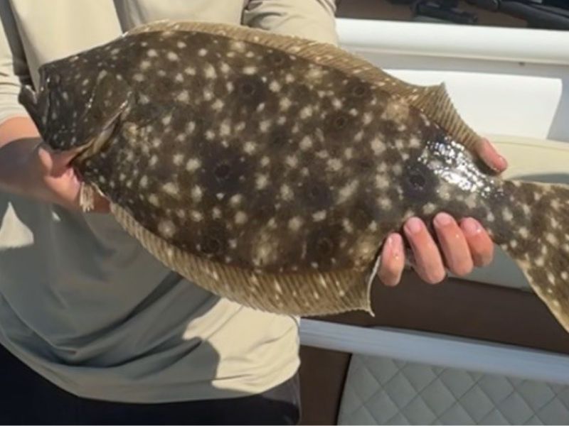 Flounder fishing Chesapeake Bay