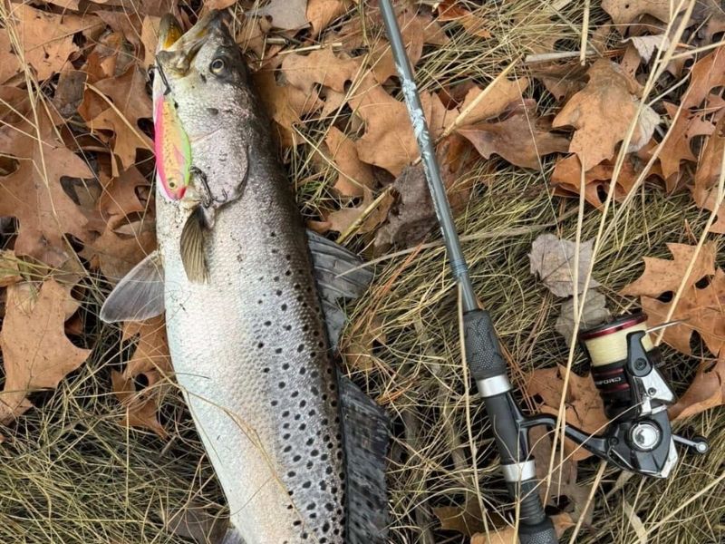 Speckled trout fishing Virginia