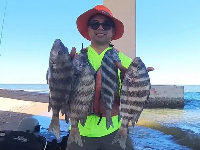 sheepshead fishing chesapeake bay