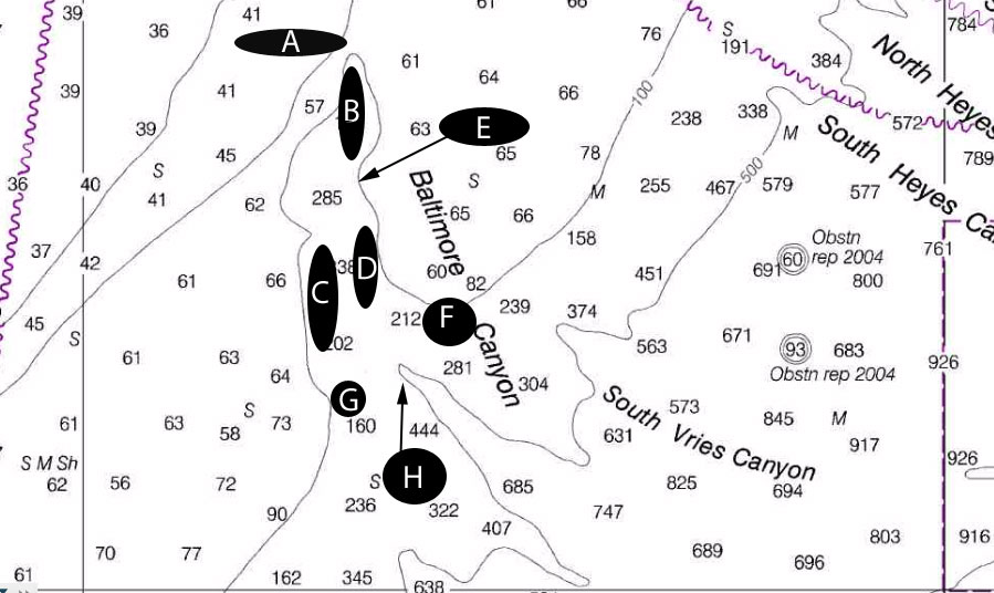 baltimore canyon fishing chart