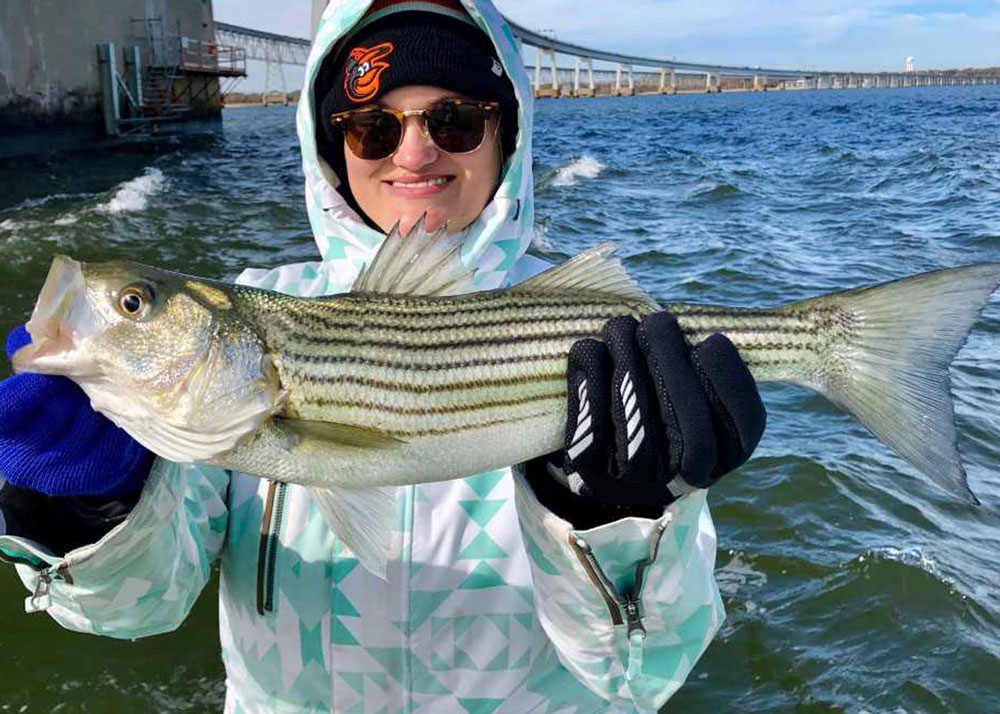 rockfish at the chesapeake bay bridge