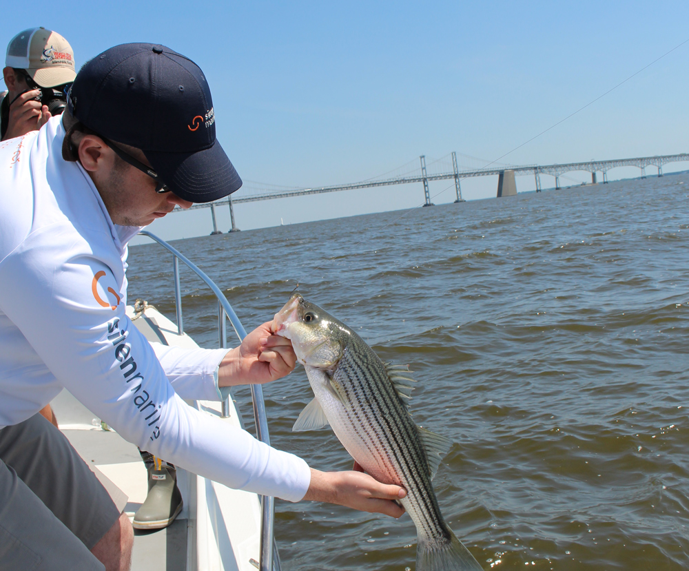 rockfishing at the bay bridge