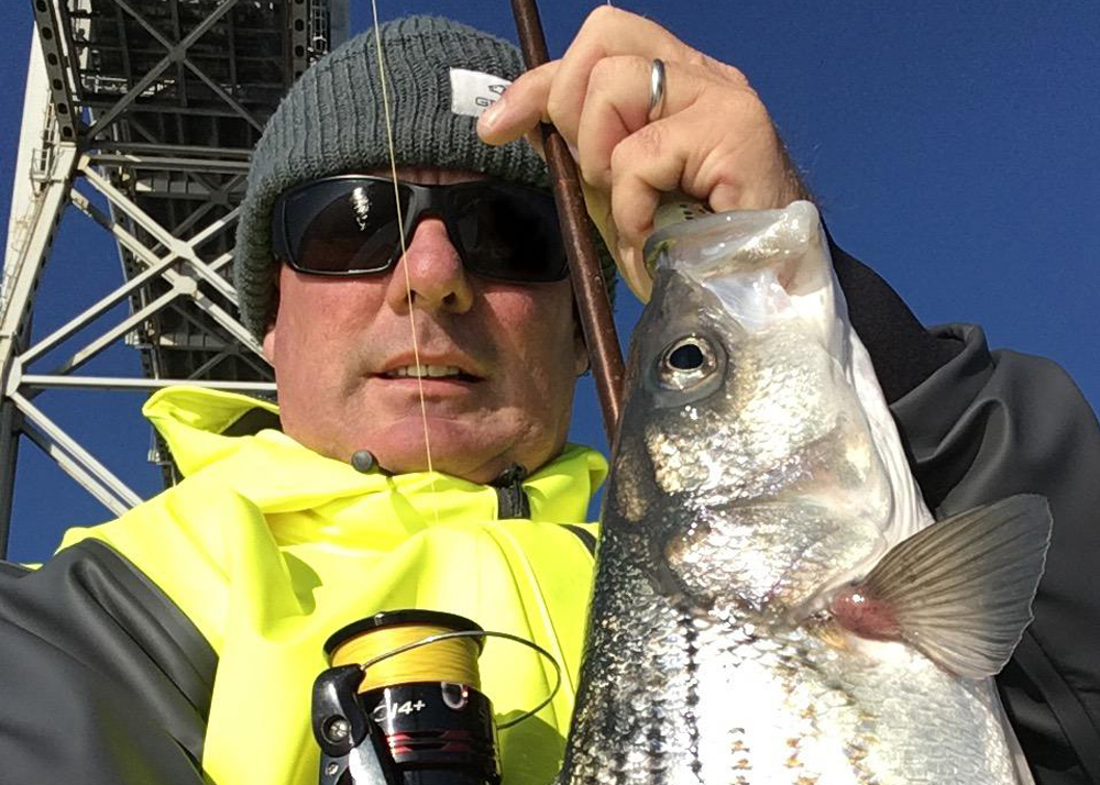 striper at the bay bridge