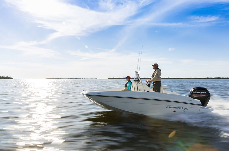 bayliner element f16 boat